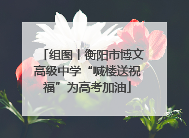 组图丨衡阳市博文高级中学“喊楼送祝福”为高考加油