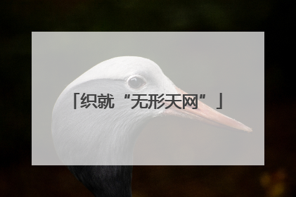 织就“无形天网”