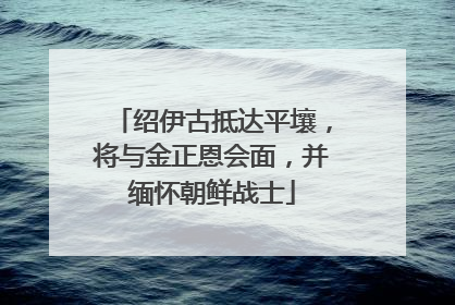 绍伊古抵达平壤，将与金正恩会面，并缅怀朝鲜战士