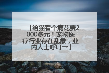 给猫看个病花费2000多元！宠物医疗行业存在乱象，业内人士呼吁→