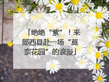绝绝“紫”！来郧西县赴一场“莫奈花园”的浪漫