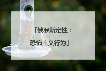 俄罗斯定性：恐怖主义行为