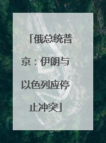 俄总统普京：伊朗与以色列应停止冲突