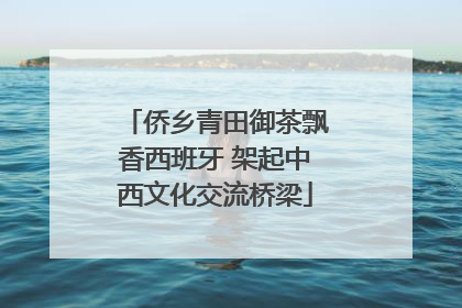 侨乡青田御茶飘香西班牙 架起中西文化交流桥梁