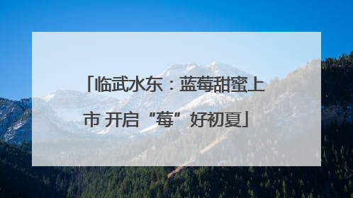 临武水东：蓝莓甜蜜上市 开启“莓”好初夏
