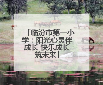 临汾市第一小学：阳光心灵伴成长 快乐成长筑未来