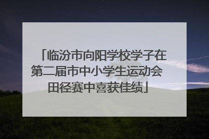 临汾市向阳学校学子在第二届市中小学生运动会田径赛中喜获佳绩