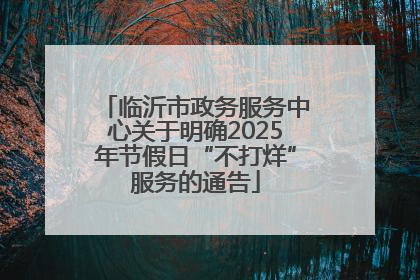 临沂市政务服务中心关于明确2025年节假日“不打烊”服务的通告