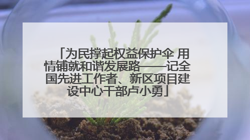 为民撑起权益保护伞 用情铺就和谐发展路——记全国先进工作者、新区项目建设中心干部卢小勇