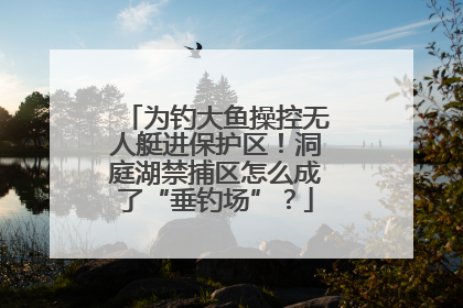 为钓大鱼操控无人艇进保护区！洞庭湖禁捕区怎么成了“垂钓场”？