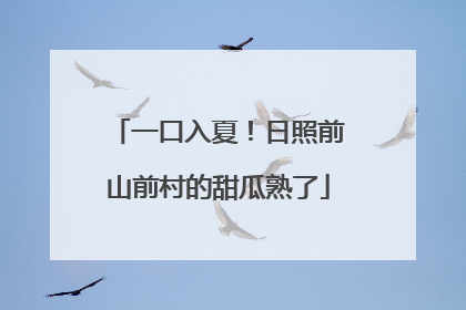 一口入夏！日照前山前村的甜瓜熟了