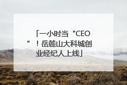 一小时当“CEO”！岳麓山大科城创业经纪人上线