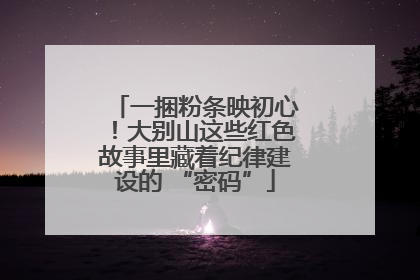 一捆粉条映初心！大别山这些红色故事里藏着纪律建设的 “密码”