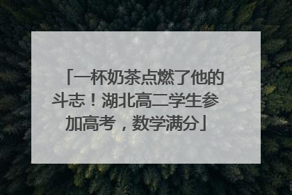 一杯奶茶点燃了他的斗志！湖北高二学生参加高考，数学满分