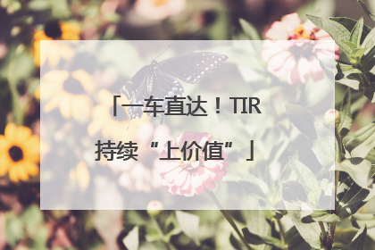 一车直达！TIR持续“上价值”