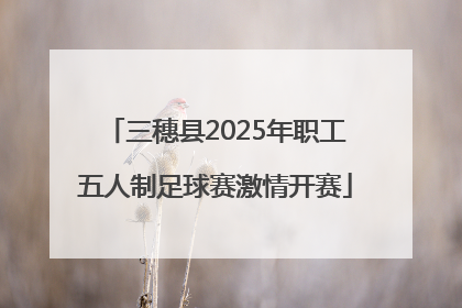 三穗县2025年职工五人制足球赛激情开赛