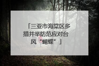 三亚市海棠区多措并举防范应对台风“蝴蝶”