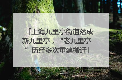 上海九里亭街道落成新九里亭，“老九里亭”历经多次重建搬迁