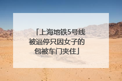 上海地铁5号线被逼停只因女子的包被车门夹住