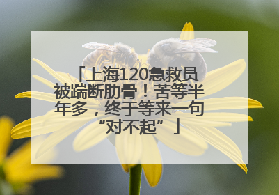 上海120急救员被踹断肋骨！苦等半年多，终于等来一句“对不起”