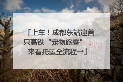 上车！成都东站迎首只高铁“宠物旅客”，来看托运全流程→