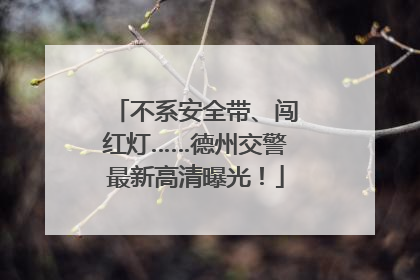 不系安全带、闯红灯……德州交警最新高清曝光！