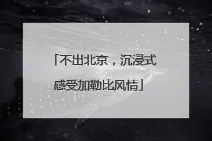 不出北京，沉浸式感受加勒比风情