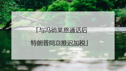 与冯德莱恩通话后 特朗普同意推迟加税