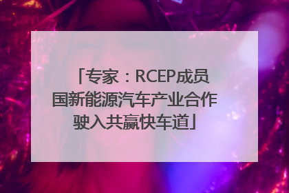 专家：RCEP成员国新能源汽车产业合作驶入共赢快车道