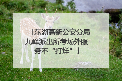 东湖高新公安分局九峰派出所考场外服务不“打烊”