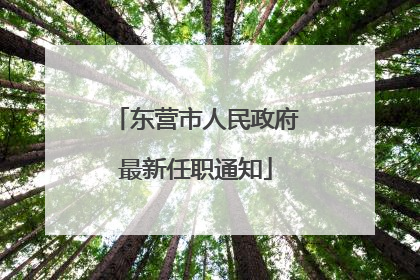 东营市人民政府最新任职通知