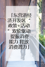 东营港经济开发区“政策+活动”双轮驱动 提振消费能力 释放消费潜力