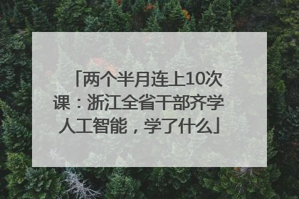 两个半月连上10次课：浙江全省干部齐学人工智能，学了什么