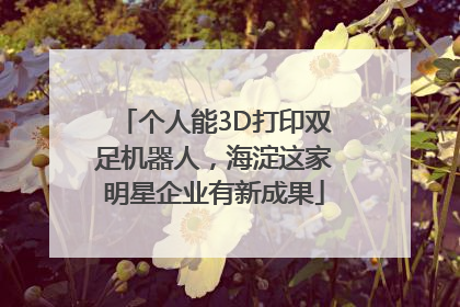 个人能3D打印双足机器人，海淀这家明星企业有新成果