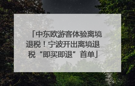 中东欧游客体验离境退税！宁波开出离境退税“即买即退”首单