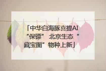中华白海豚喜提AI“保镖” 北京生态“藏宝图”物种上新