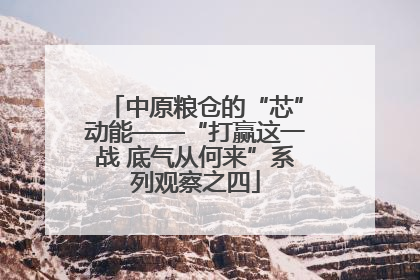 中原粮仓的“芯”动能——“打赢这一战 底气从何来”系列观察之四