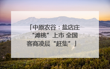 中原农谷：盐店庄“滩桃”上市 全国客商凌晨“赶集”