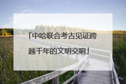 中哈联合考古见证跨越千年的文明交响