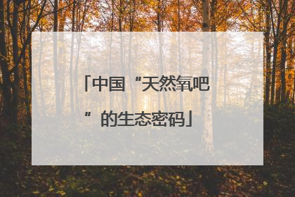 中国“天然氧吧”的生态密码