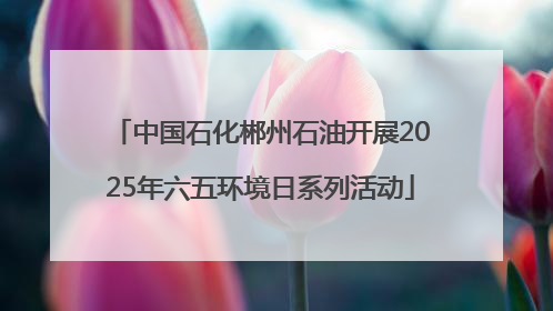 中国石化郴州石油开展2025年六五环境日系列活动