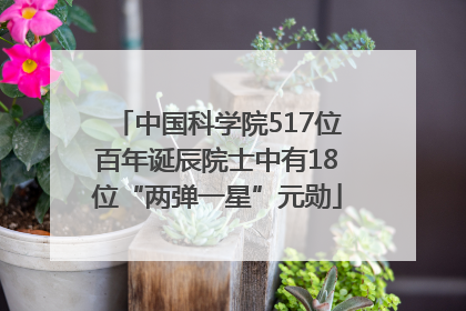 中国科学院517位百年诞辰院士中有18位“两弹一星”元勋