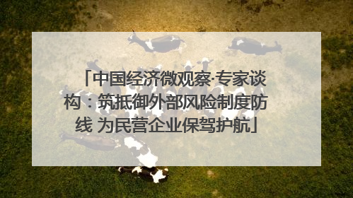 中国经济微观察·专家谈构：筑抵御外部风险制度防线 为民营企业保驾护航