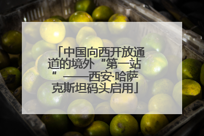 中国向西开放通道的境外“第一站”——西安·哈萨克斯坦码头启用