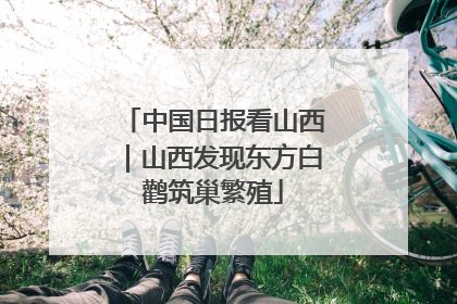 中国日报看山西｜山西发现东方白鹳筑巢繁殖