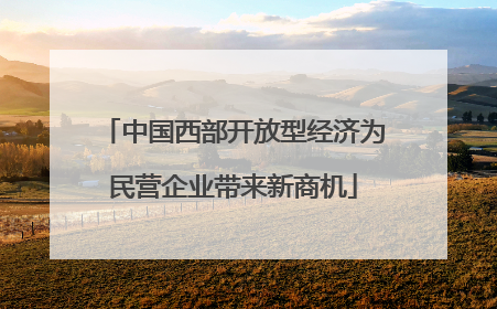 中国西部开放型经济为民营企业带来新商机