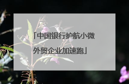 中国银行护航小微外贸企业加速跑