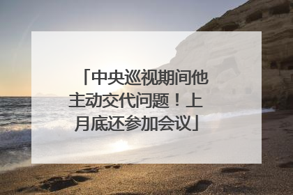 中央巡视期间他主动交代问题！上月底还参加会议
