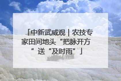 中新武威观｜农技专家田间地头“把脉开方”送“及时雨”