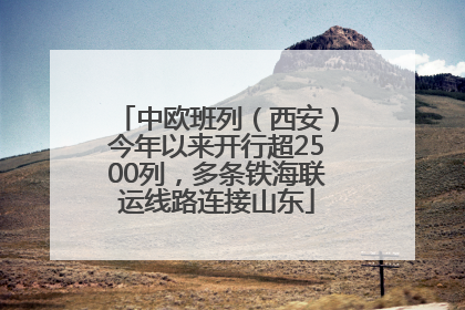中欧班列（西安）今年以来开行超2500列，多条铁海联运线路连接山东